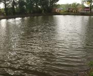 (出售) 多個(gè)廠房、平房出租,價(jià)格優(yōu)惠,交通便利