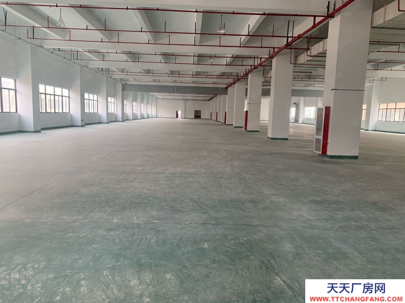 嘉興平湖(出租) 出租平湖鐘逮開發區二樓廠房1800有貨梯交通便利