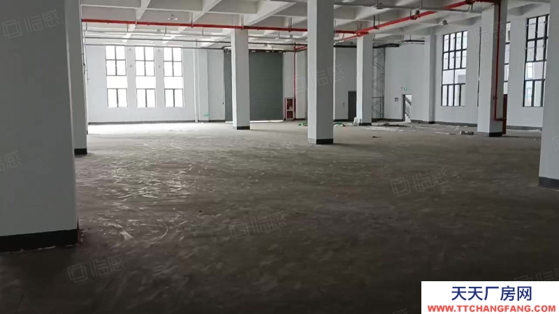 嘉興平湖(出租) ~平湖2000單層廠房，層高8米，帶牛腿，證件齊全，可辦環評