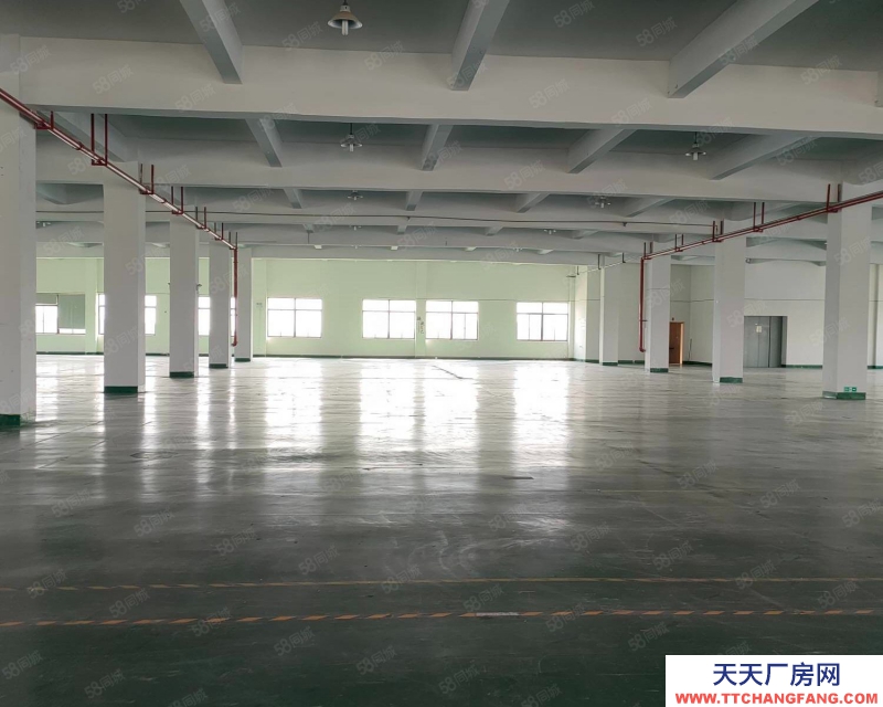 嘉興平湖(出租) 平湖開發區12000平方雙層標準廠房，首層高6米，可分租
