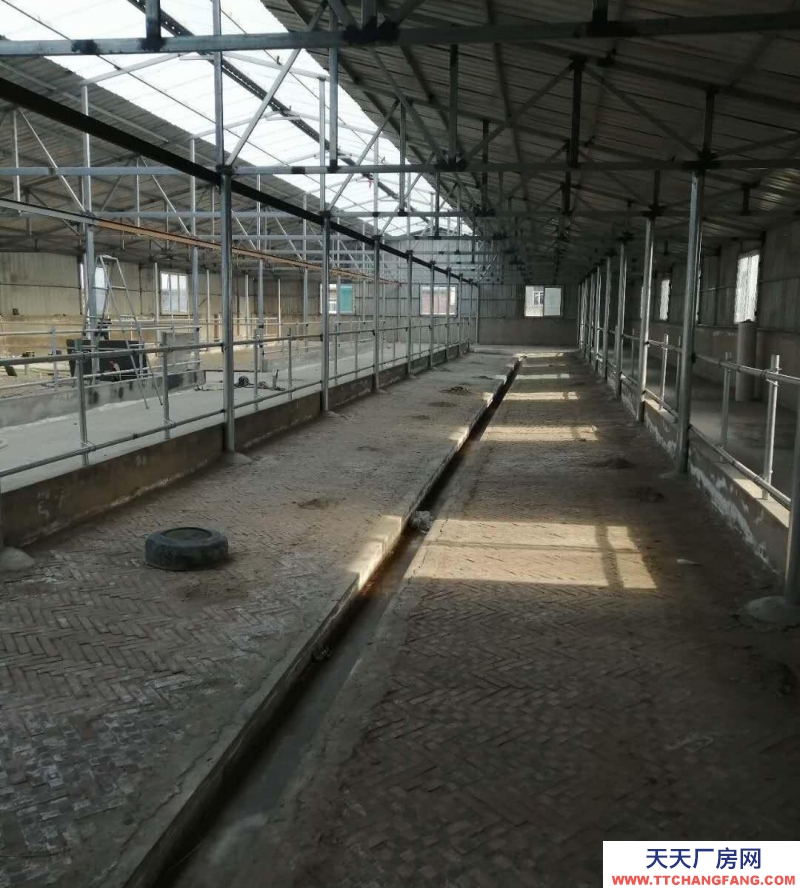 (出租)鞍山臺安縣 出租出售！適合養牛，能養100多頭牛。