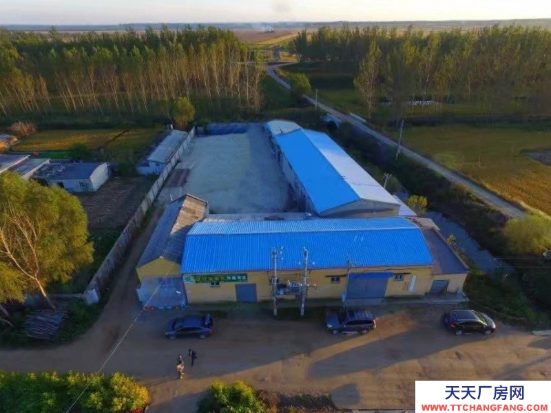 (出租) 鞍山臺安縣廠房，收糧，存糧，服裝廠