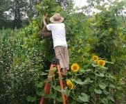 (出售) 可,養(yǎng)殖,置換,環(huán)境好,交通方便,