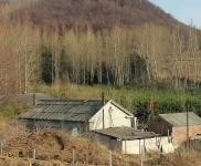 (出售) 可，養(yǎng)殖，置換，環(huán)境好，交通方便，