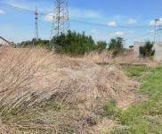 (出售) 3000平廠房誠意出售,詳情電話聯(lián)系