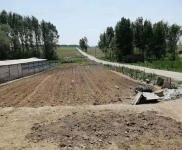 (出售) 急售?。?！有房照，有意者可以隨時看房