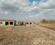 (出售) 出售自家農(nóng)場，可養(yǎng)殖，白城通榆縣興隆山鎮(zhèn)旅游區(qū)附近