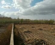 (出售) 出售自家農(nóng)場，可養(yǎng)殖，白城通榆縣興隆山鎮(zhèn)旅游區(qū)附近