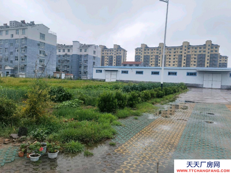 濱州惠民水電齊全 帶獨立500平方辦公室