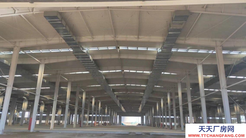 濱州惠民單一層，挑高十一米高標準鋼結構廠房