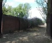 (出租) 農(nóng)安廠房大院出租出租