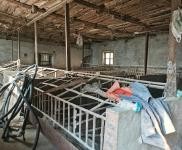 (出租) 豬廠房出租，總面積3000多平，適合養殖。