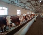 (出租) 自家養(yǎng)殖場(chǎng)地出租，在營(yíng)狀態(tài)