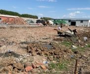 (出租) 500平廠房 彩鋼結構 舉架4米高 寬12米 長40米