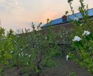 (出售) 使用權7000平米土地果園出售出租