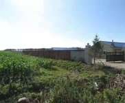 (出售) 農安縣養殖場房出租出售