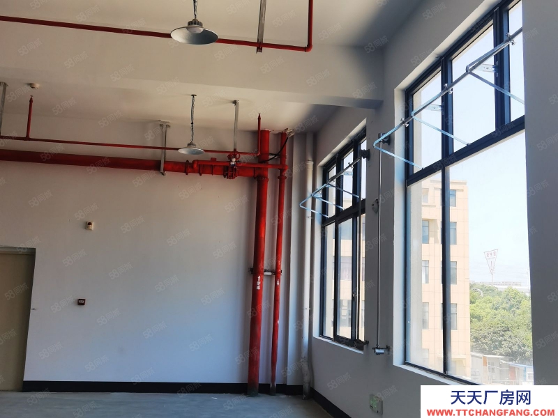 嘉興平湖(出售) 出售平湖周邊4畝廠房2500萬，全新房