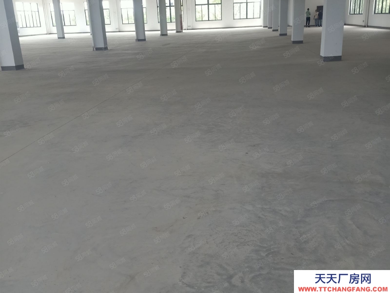 嘉興桐鄉(出租) 河山工業園區，廠房出租9000平方，可以分割，大車好講出