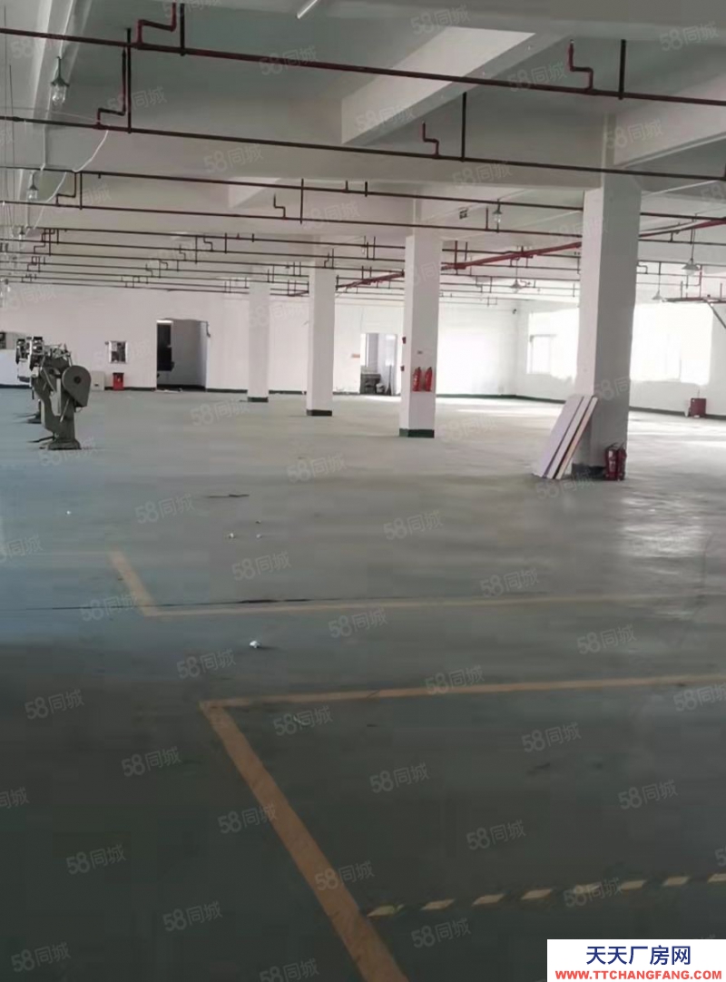 嘉興桐鄉(出租) 金馬轉盤旁甌華獨棟廠房8100平，可分租1350平2700平