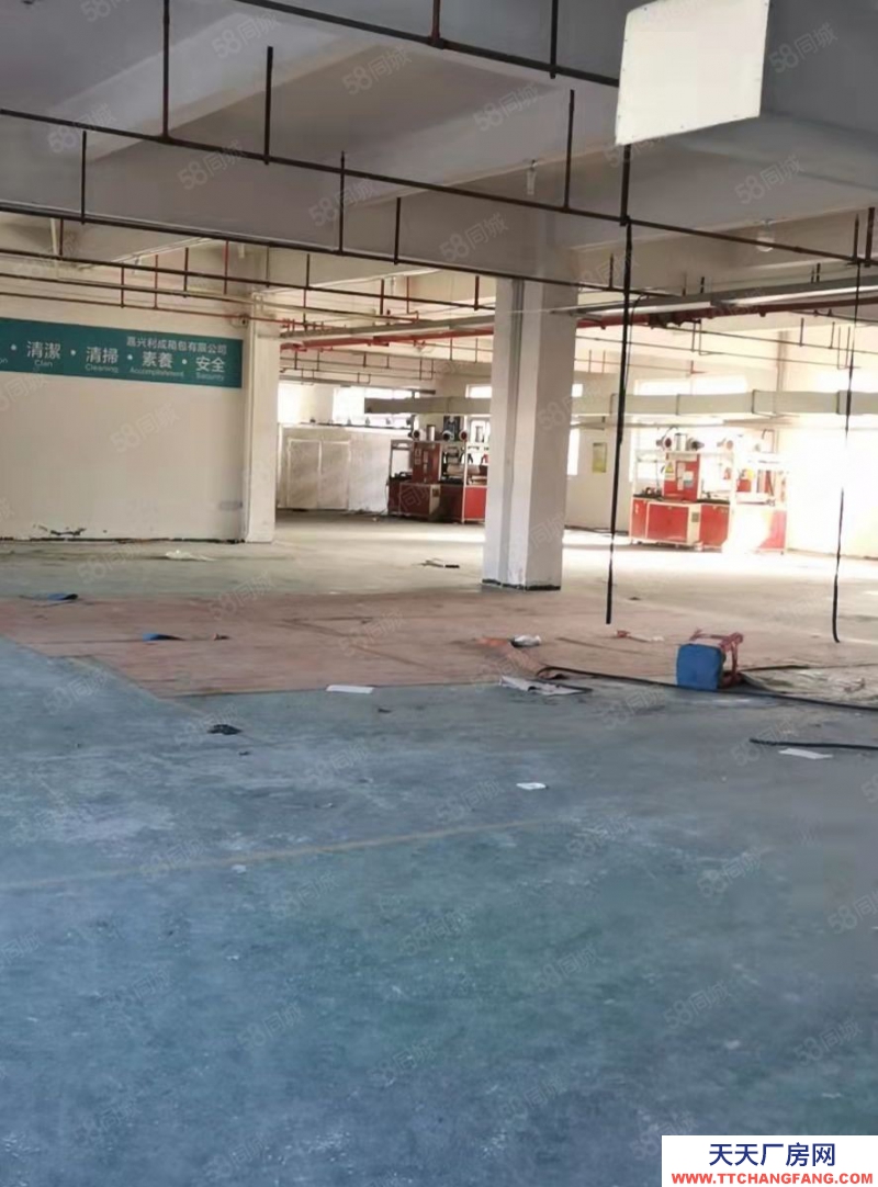 嘉興桐鄉(xiāng)(出租) 金馬轉(zhuǎn)盤旁甌華獨(dú)棟廠房8100平,可分租1350平2700平