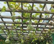 出租，房屋整潔，交通便利。