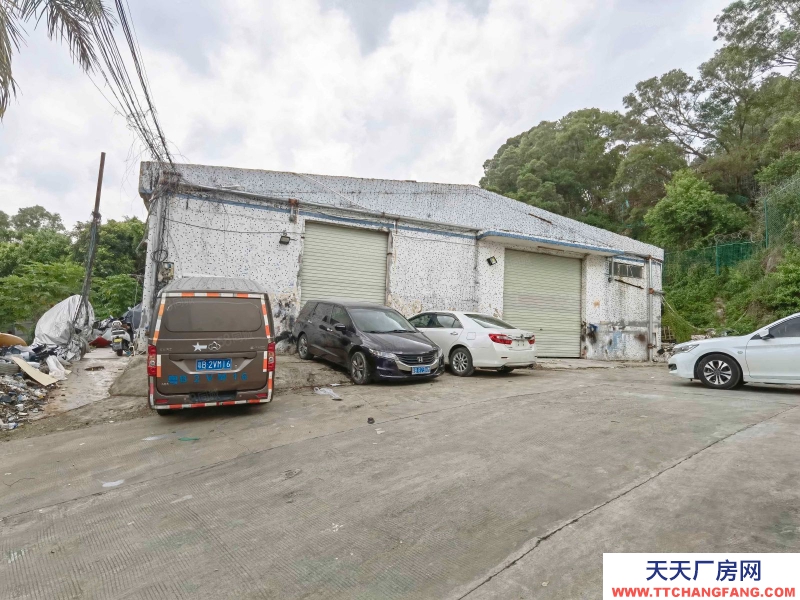 (出租) 深圳西麗留仙洞 單一層1100平 租金30元層高5米