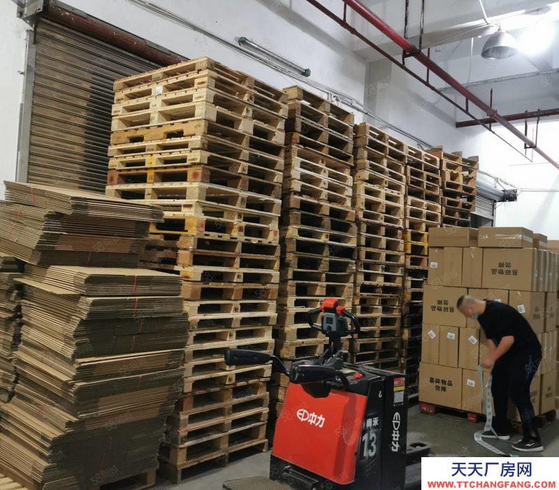 (出租) 深圳亞馬遜 海外淘集貨 跨境電商 國內倉儲物流服務