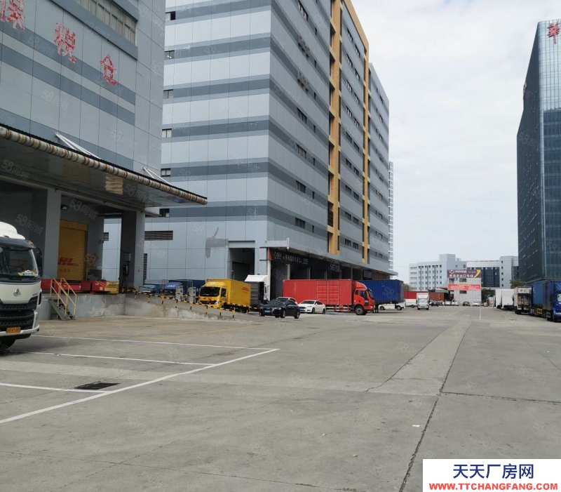 (出租) 深圳亞馬遜 海外淘集貨 跨境電商 國內(nèi)倉儲物流服務(wù)