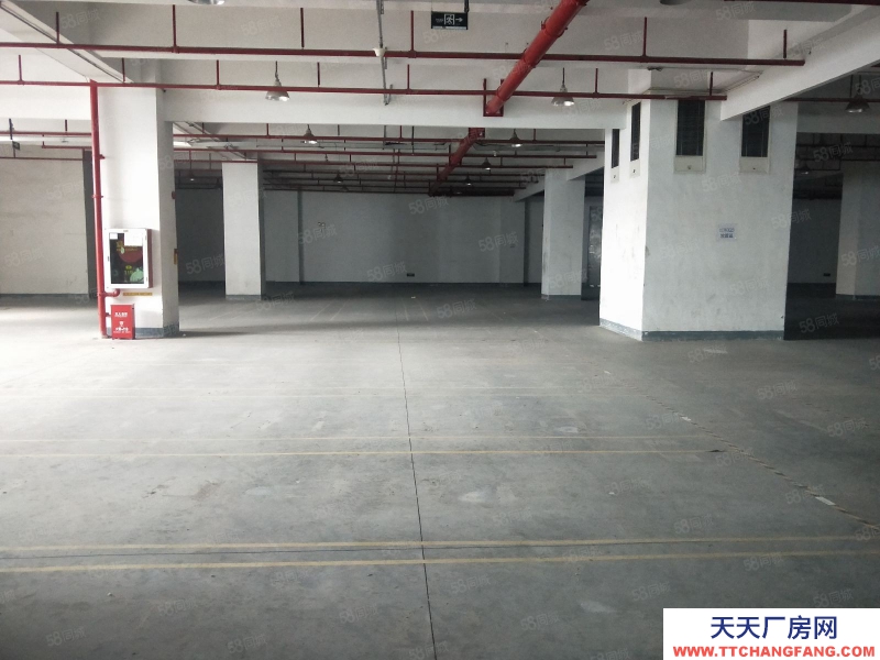 (出租) 深圳貨物代管代發(fā),市內(nèi)派送,集貨裝柜