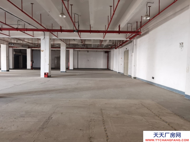 (出租) 深圳貨物代管代發(fā),市內(nèi)派送,集貨裝柜