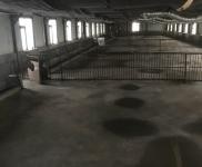 (出租) 大型養殖場出租 手續齊全