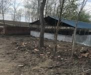 (出售) 養(yǎng)殖場整體出售可以養(yǎng)五萬只雞