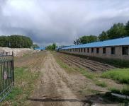 (出售) 有辦公室，倉庫，磚混