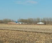 (出售) 惠發街燒鍋村 豬舍場地 5000平米