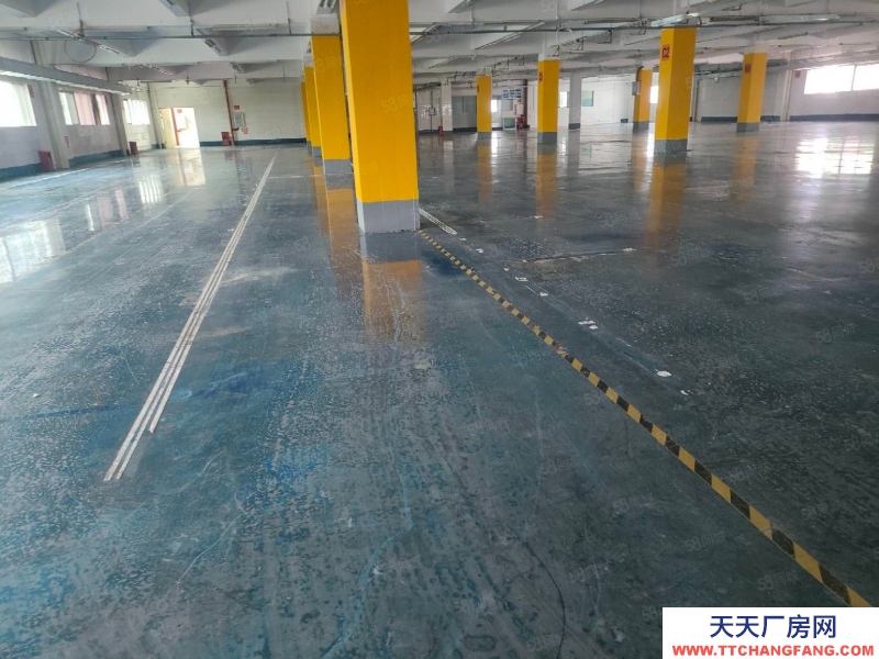 (出租) 珠海南屏550平方~4000平方一樓廠房 機械 設備 五金