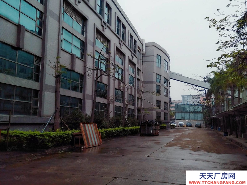 (出租) 珠海南屏550平方~4000平方一樓廠房 機械 設備 五金