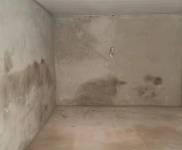 (出租) 庫門就在馬路邊，可進車可存貨，開麻將館等都挺適合。