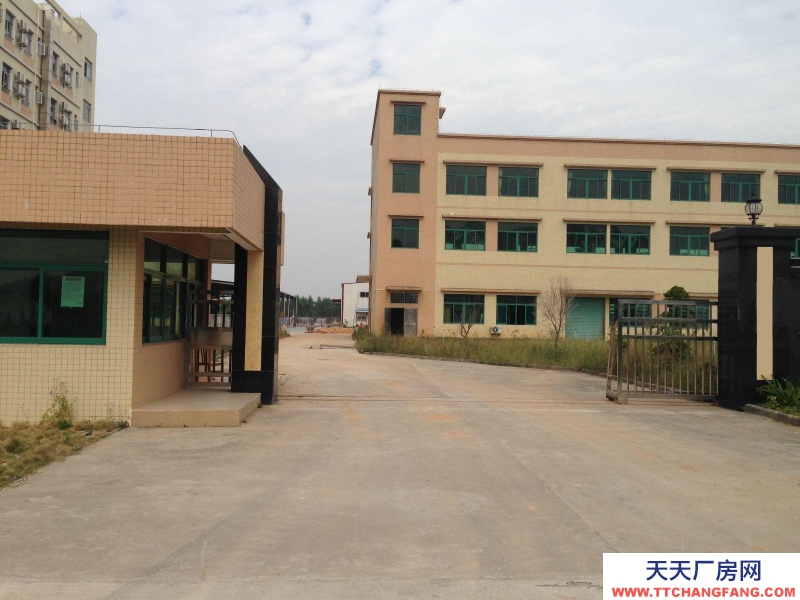 (出租) 珠海全新13米高帶隔熱鋼構廠房及標準廠房空地出租可分租