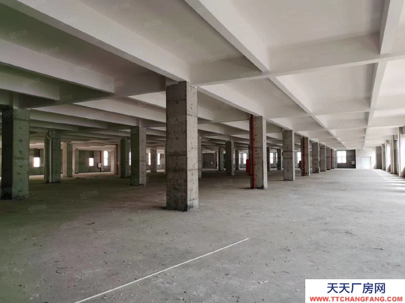 (出租) 珠海斗門誠豐優品預制菜產業園甲方直租條件優惠