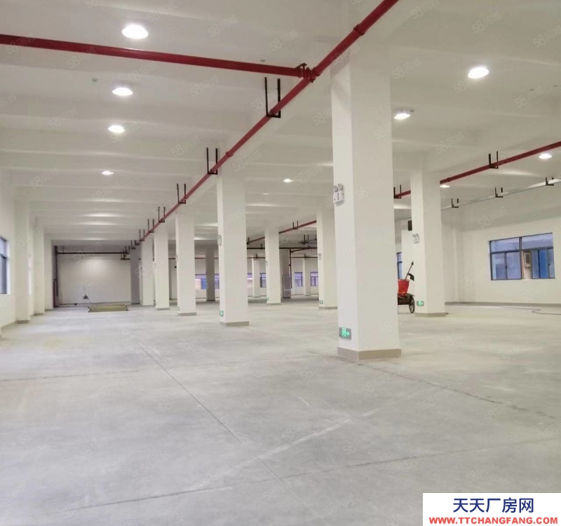 (出租) 珠海直租井岸鎮(zhèn)全新2680平方廠房，大小可分租