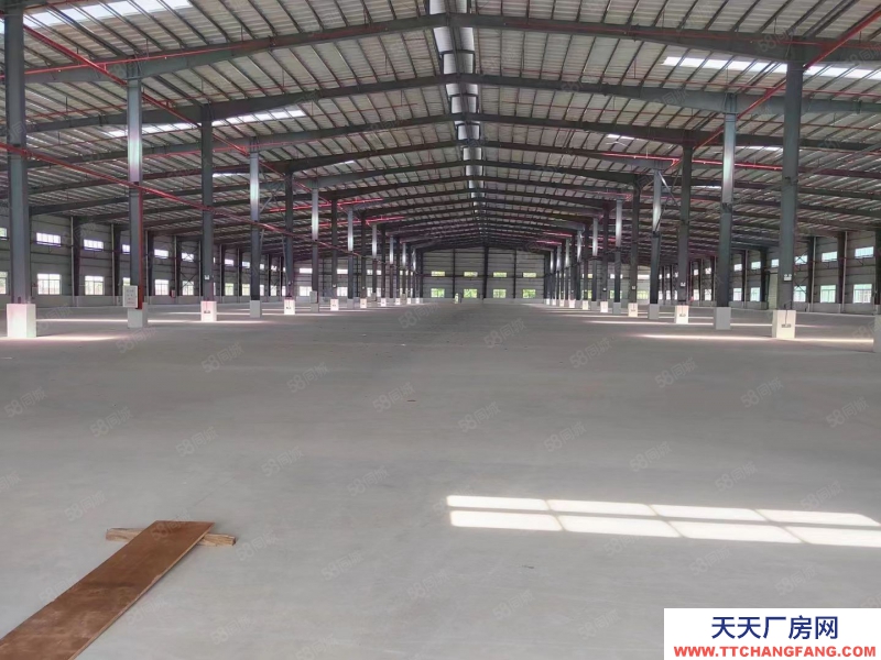 (出租) 珠海金灣5000~9800~35000平單一層鋼廠房，層高10米