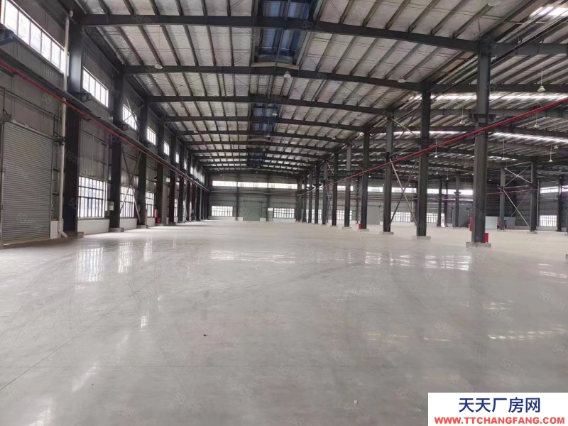 (出租) 珠海紅旗5000~10000平全新單層鋼構(gòu)廠房，高10米，可分租