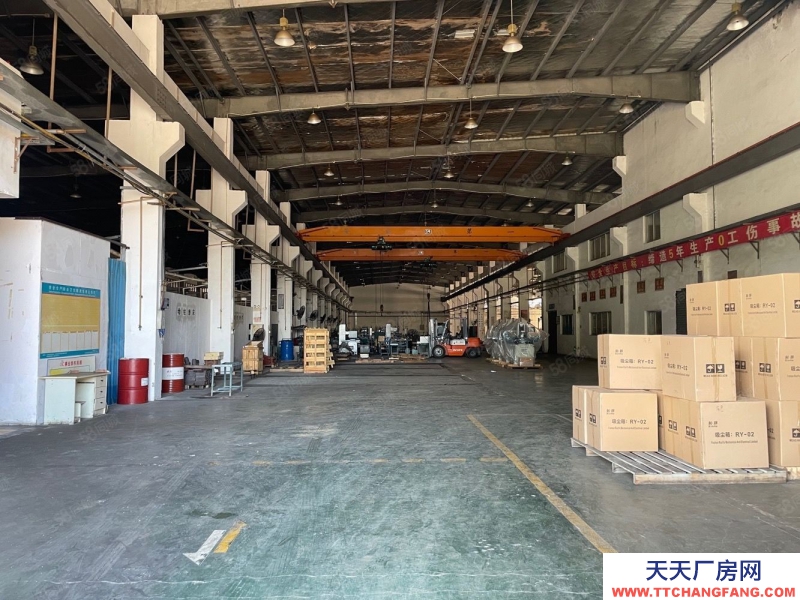 (出租) 珠海紅旗2700~6000平單層鋼構廠房,帶10噸行車,可分租