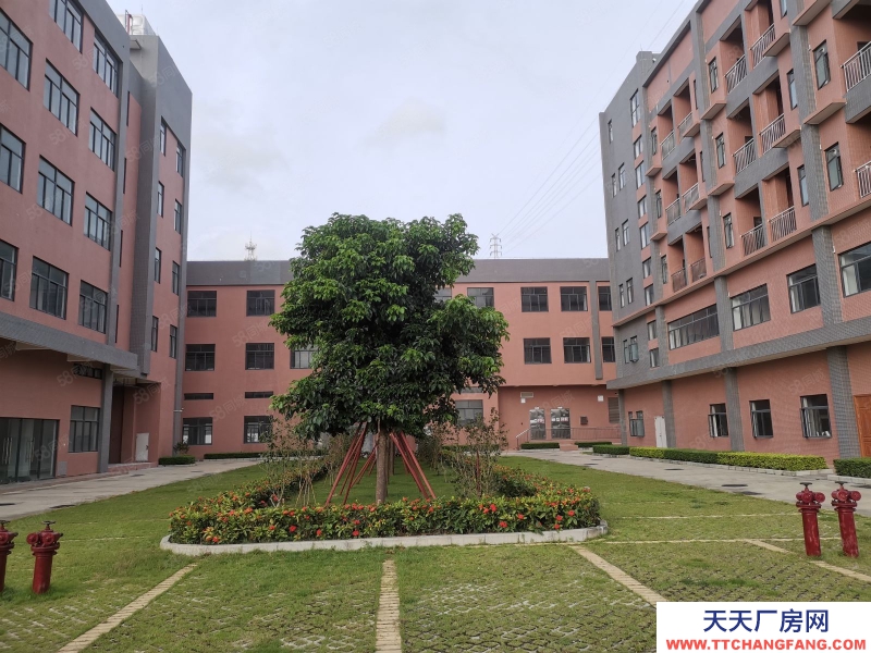 (出租) 珠海金灣紅旗開源祥廠房12900平方，花園式廠房