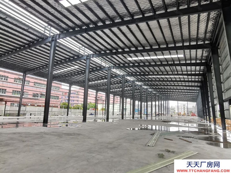 (出租) 珠海小林獨院5千~16000平全新鋼構，層高12米，適合機械五金