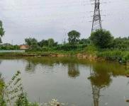 (出租) 龍潭區龍興村三隊廠房養殖場出租