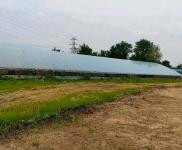 (出租) 龍?zhí)秴^(qū)龍興村三隊廠房養(yǎng)殖場出租