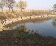 (出售) 龍潭區江北鄉大屯村山莊、別墅、土地出售