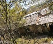 (出售) 原養(yǎng)雞場出售,占地3000平米