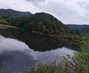 (出售) 廠房出售 農家院山莊土地廠房出租出售